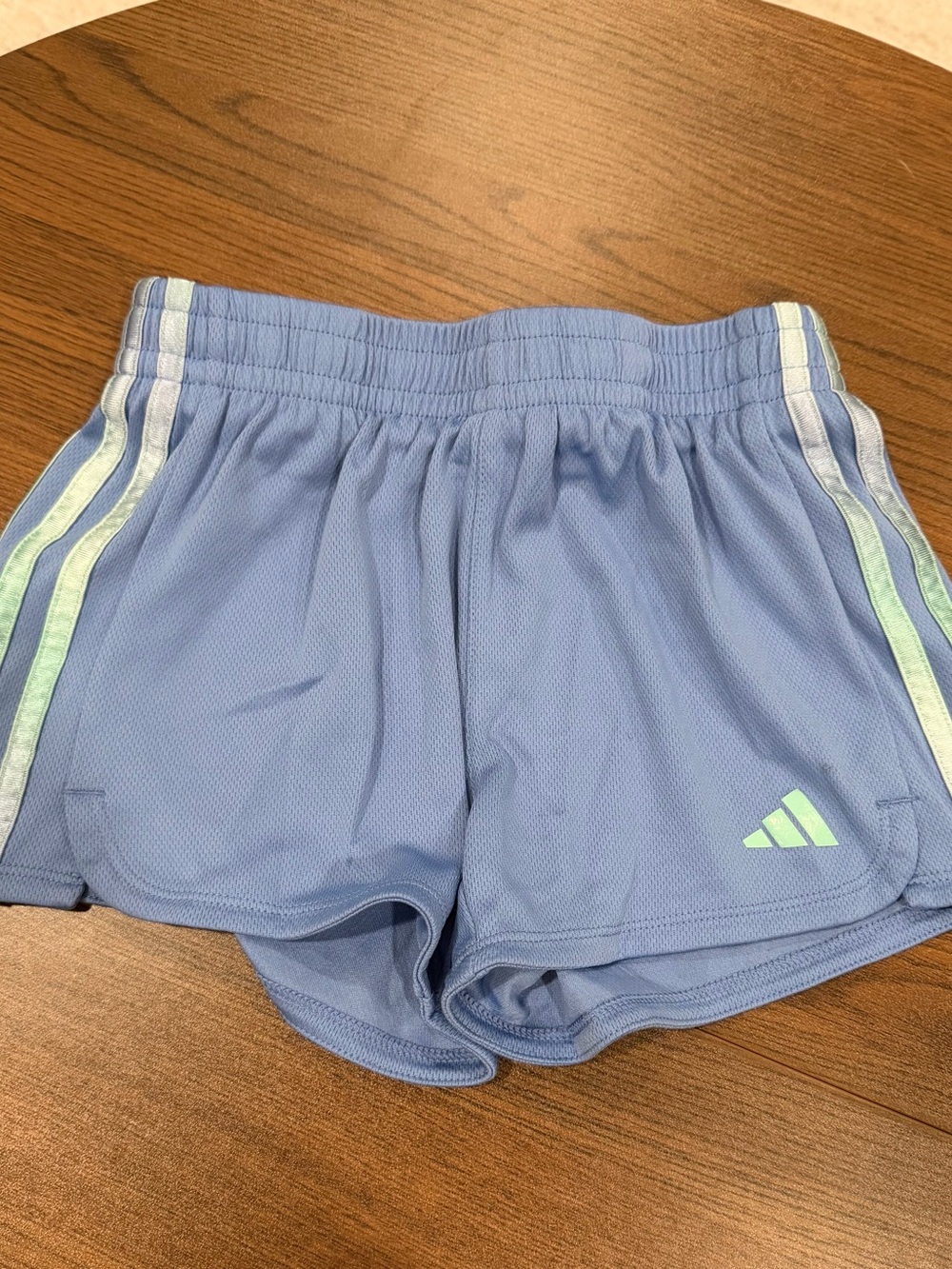 adidas Light Blue Athletic Mesh Shorts with Mint Accent